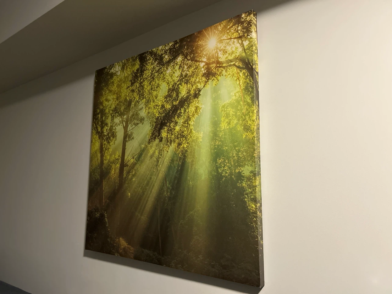 Forest Landscape Wall Art Canvas - photo 3