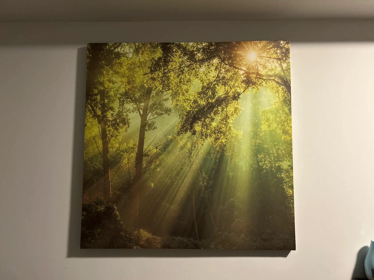 Forest Landscape Wall Art Canvas - photo 5