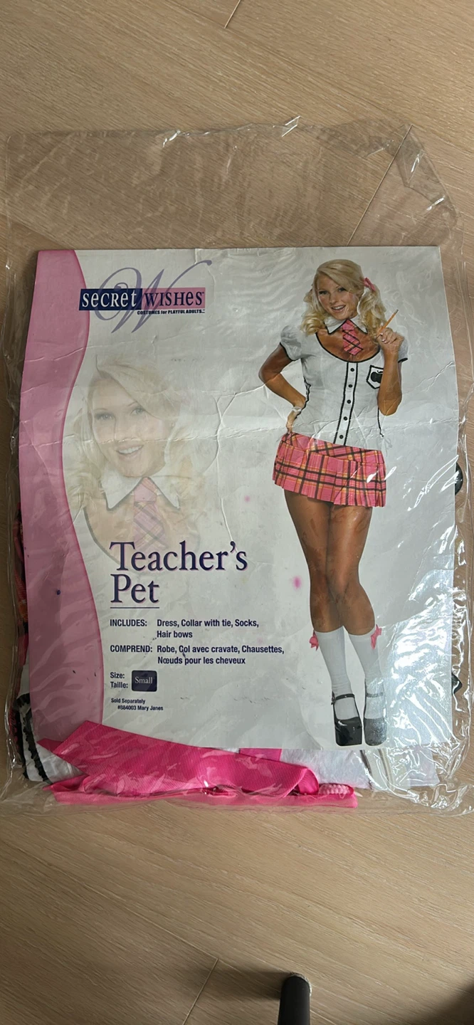 Halloween Costume, Teacher’s Pet, Ladies size S, used once - photo 2