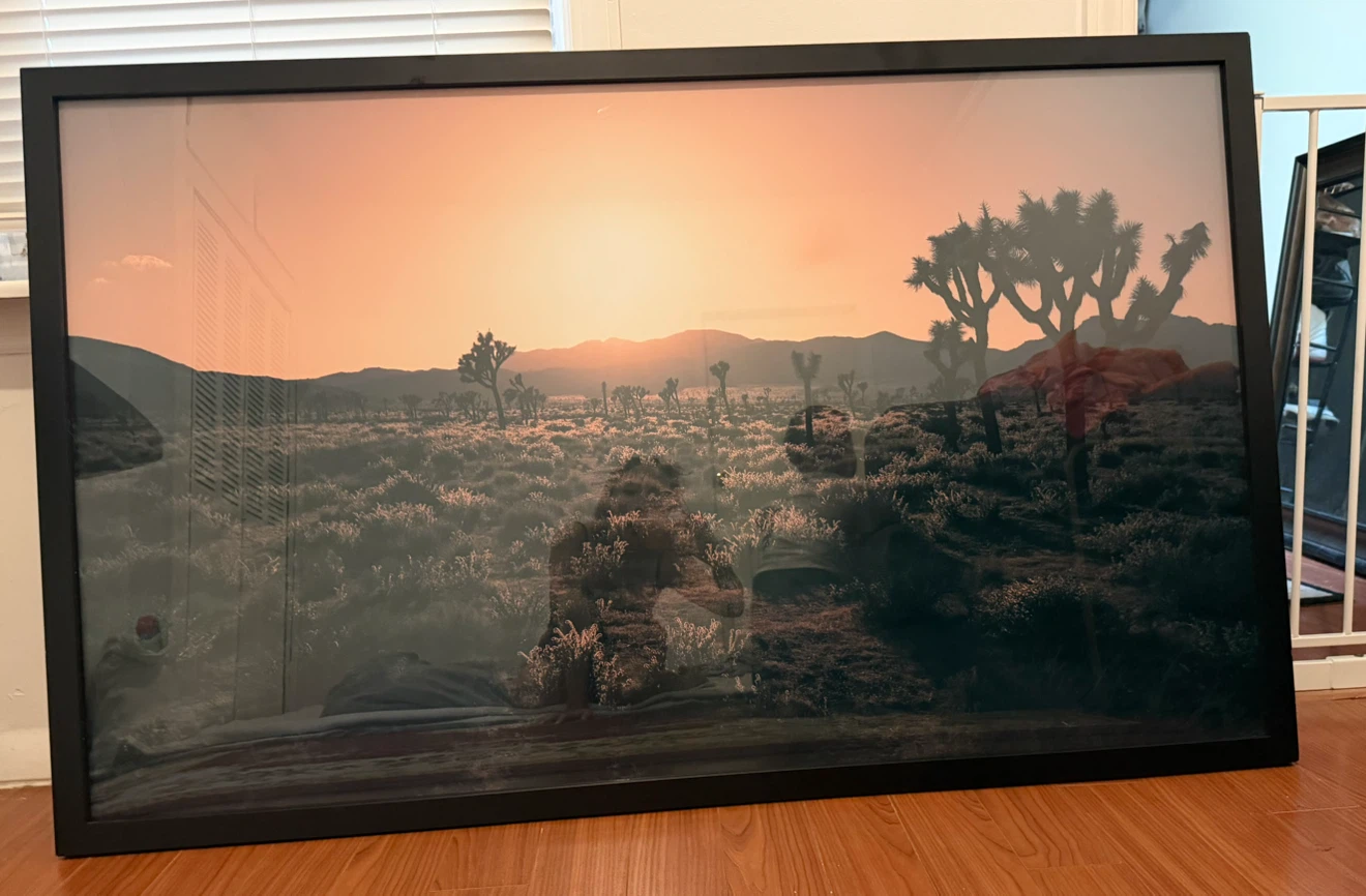 Framed Landscape Picture + Mirror — $40 for Both