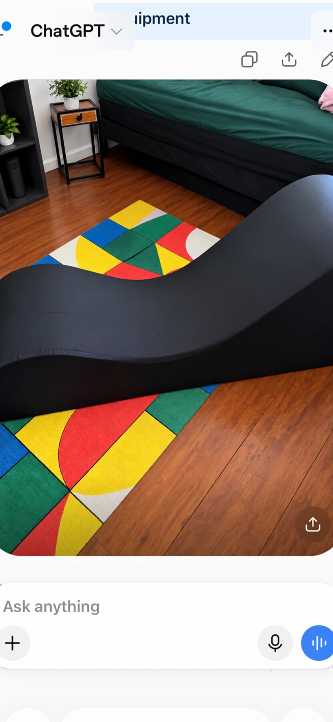 Black Ergonomic Wave Lounge Chair in Manhattan, NY