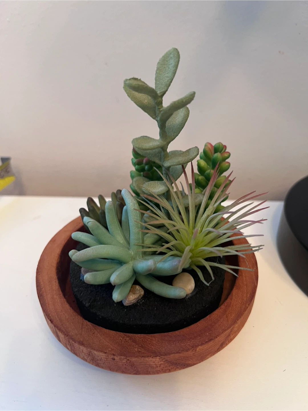 Artificial Succulent Arrangement in Wood Base - photo 3