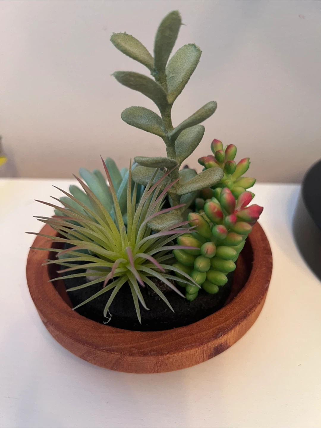 Artificial Succulent Arrangement in Wood Base - photo 4