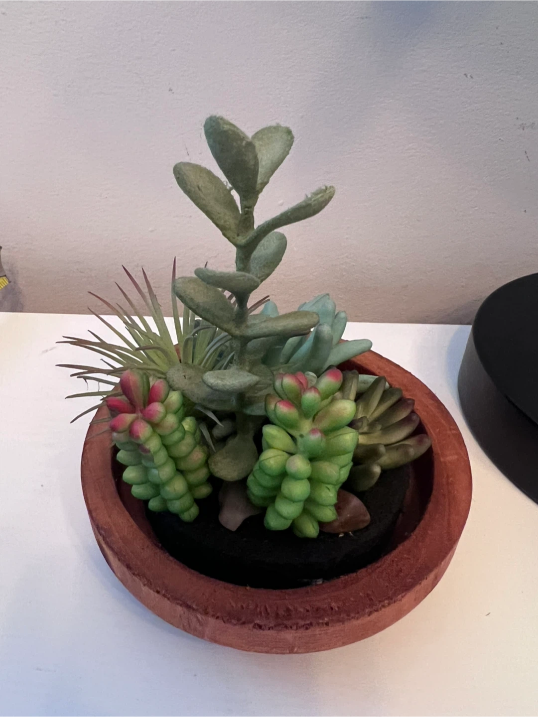 Artificial Succulent Arrangement in Wood Base - photo 5