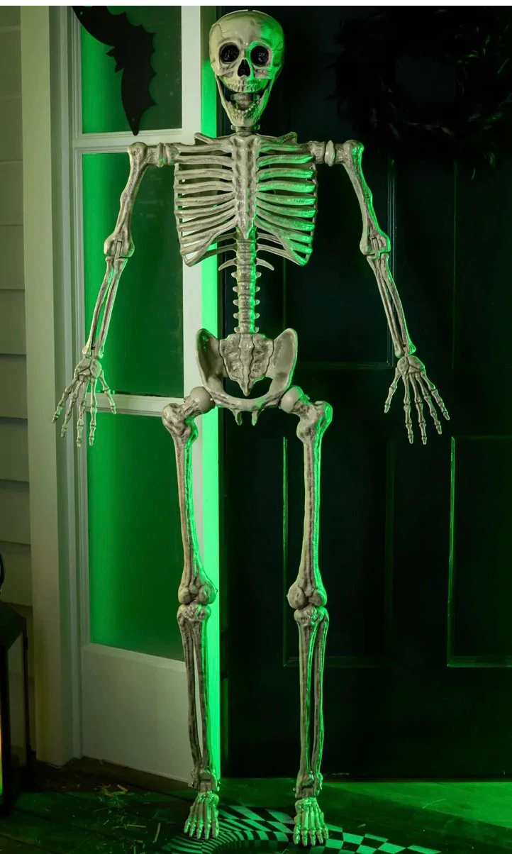 New in the box Life-Size Posable Halloween Skeleton - photo 4