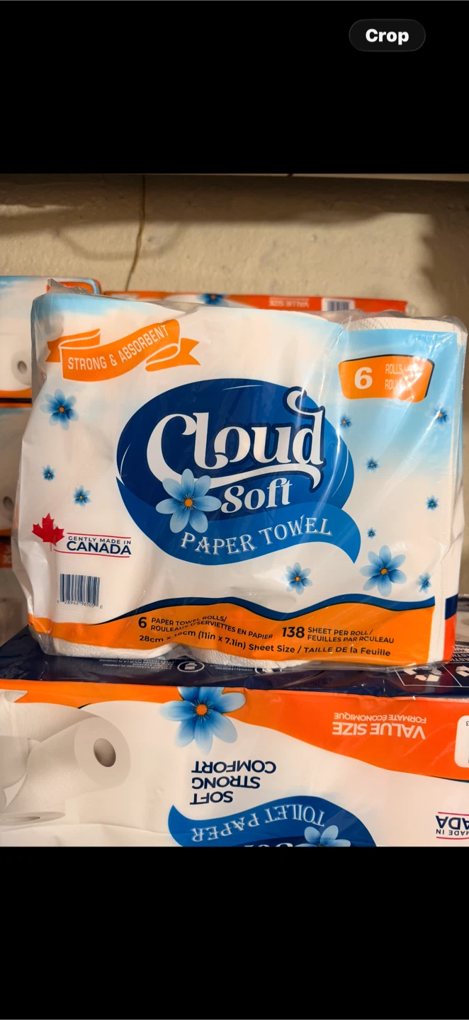 Cloud Soft Paper Towel 6-Pack