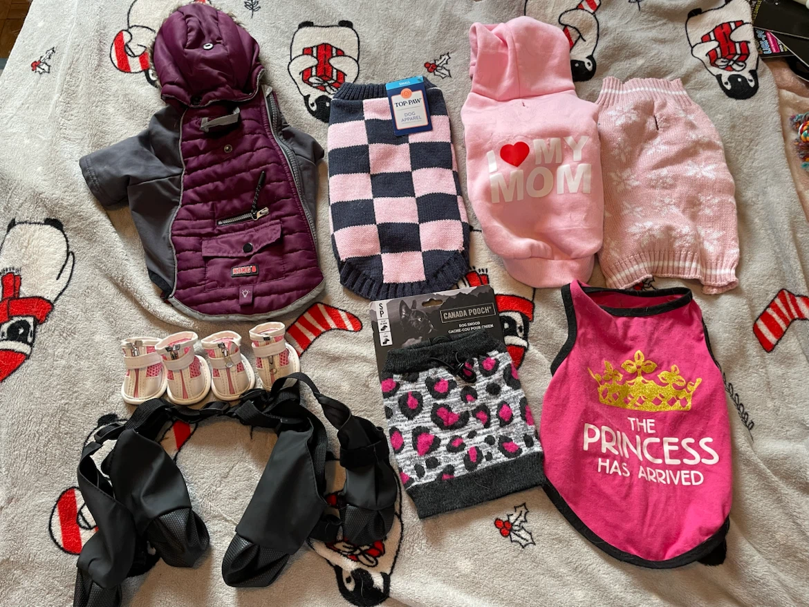 Small Dog Clothing Lot