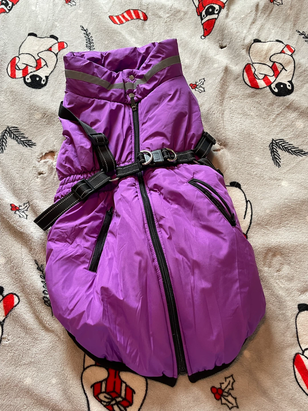 22” Dog Winter Coat