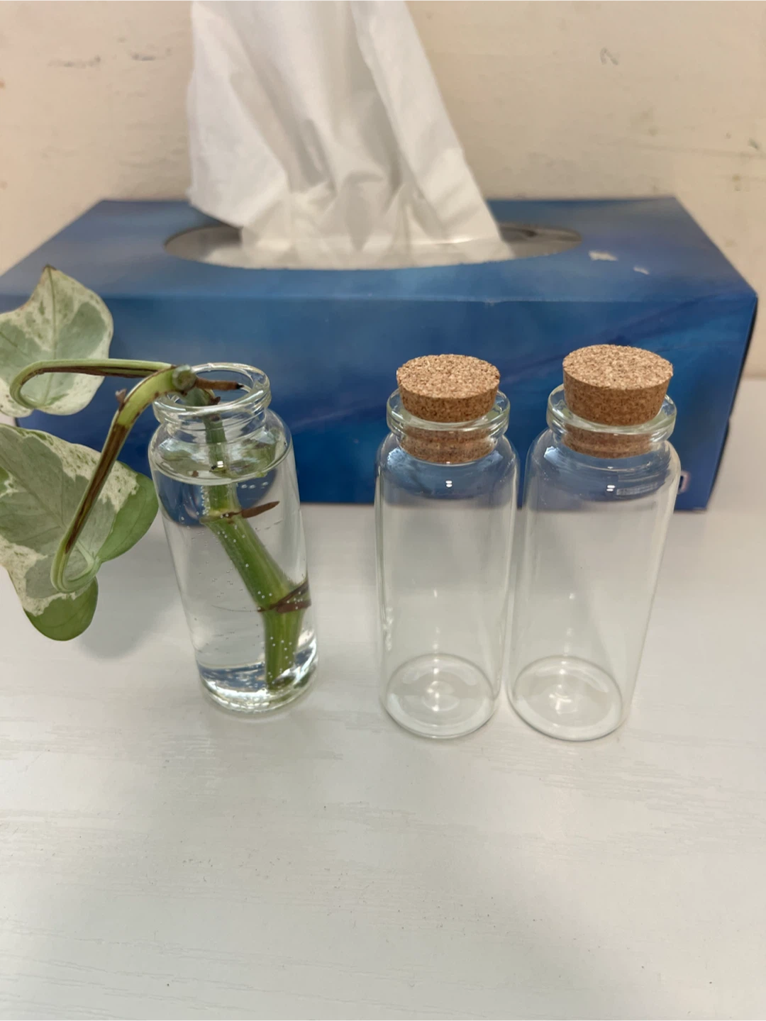 Small glass bottles with cork stoppers