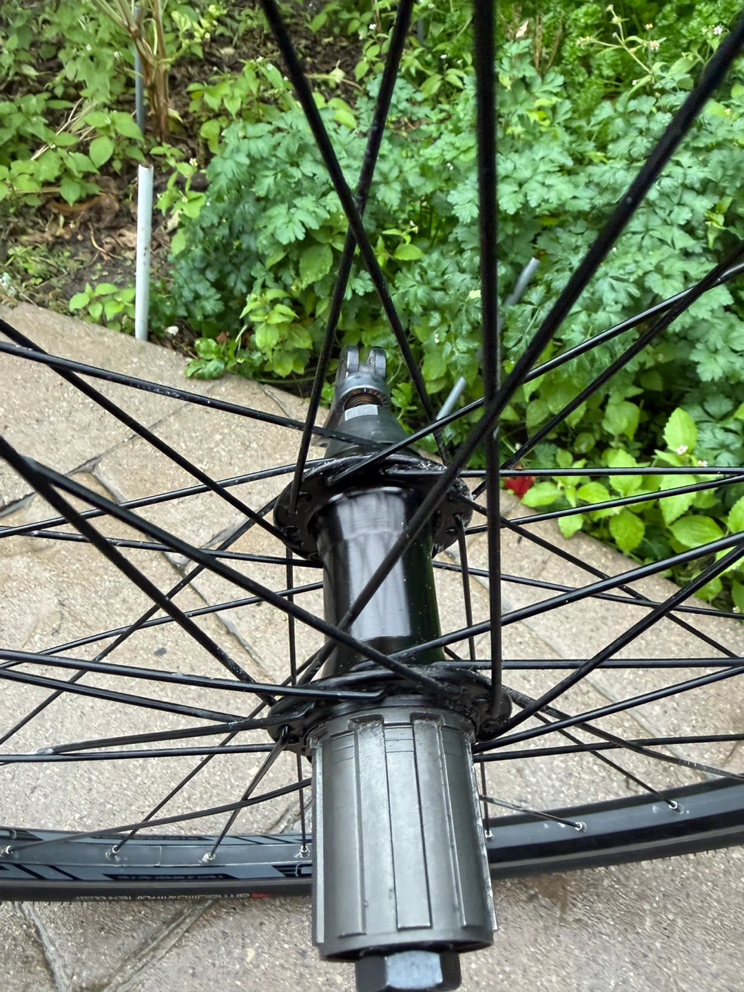 Whell cassette rear 700 tires + tube - photo 3