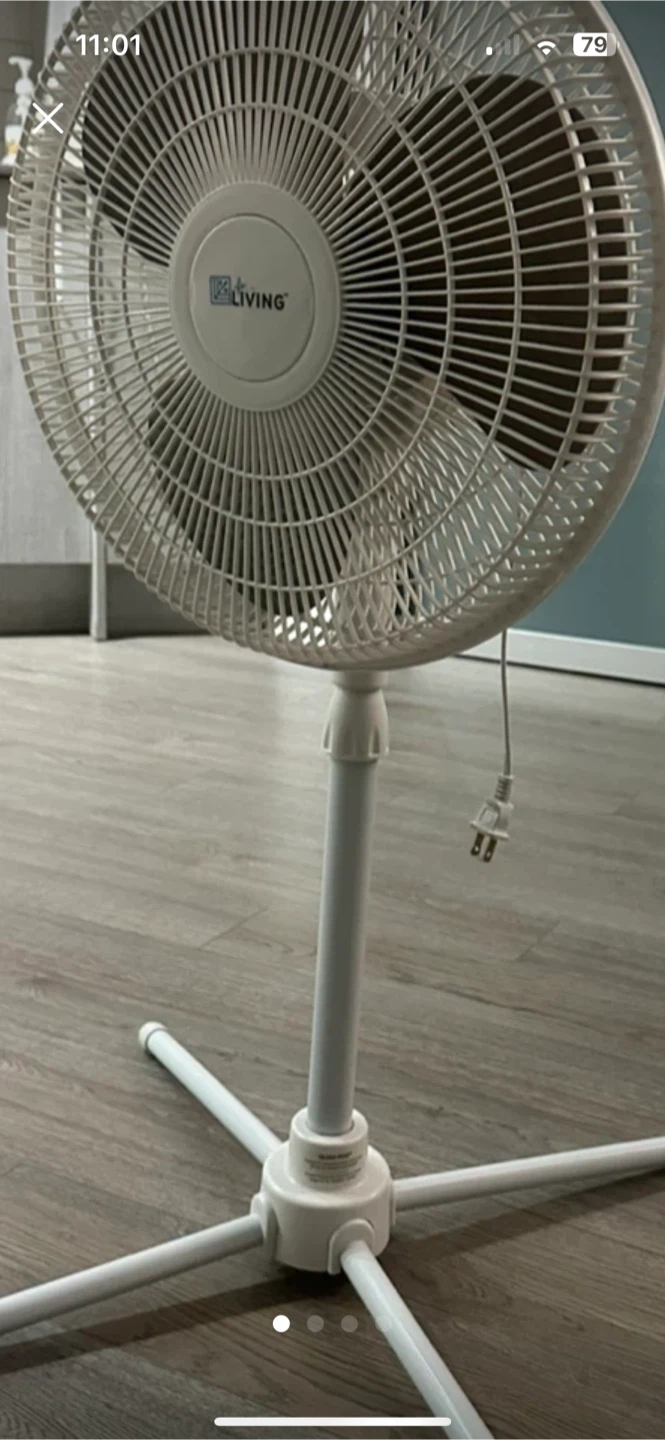 Living Basics Pedestal Fan