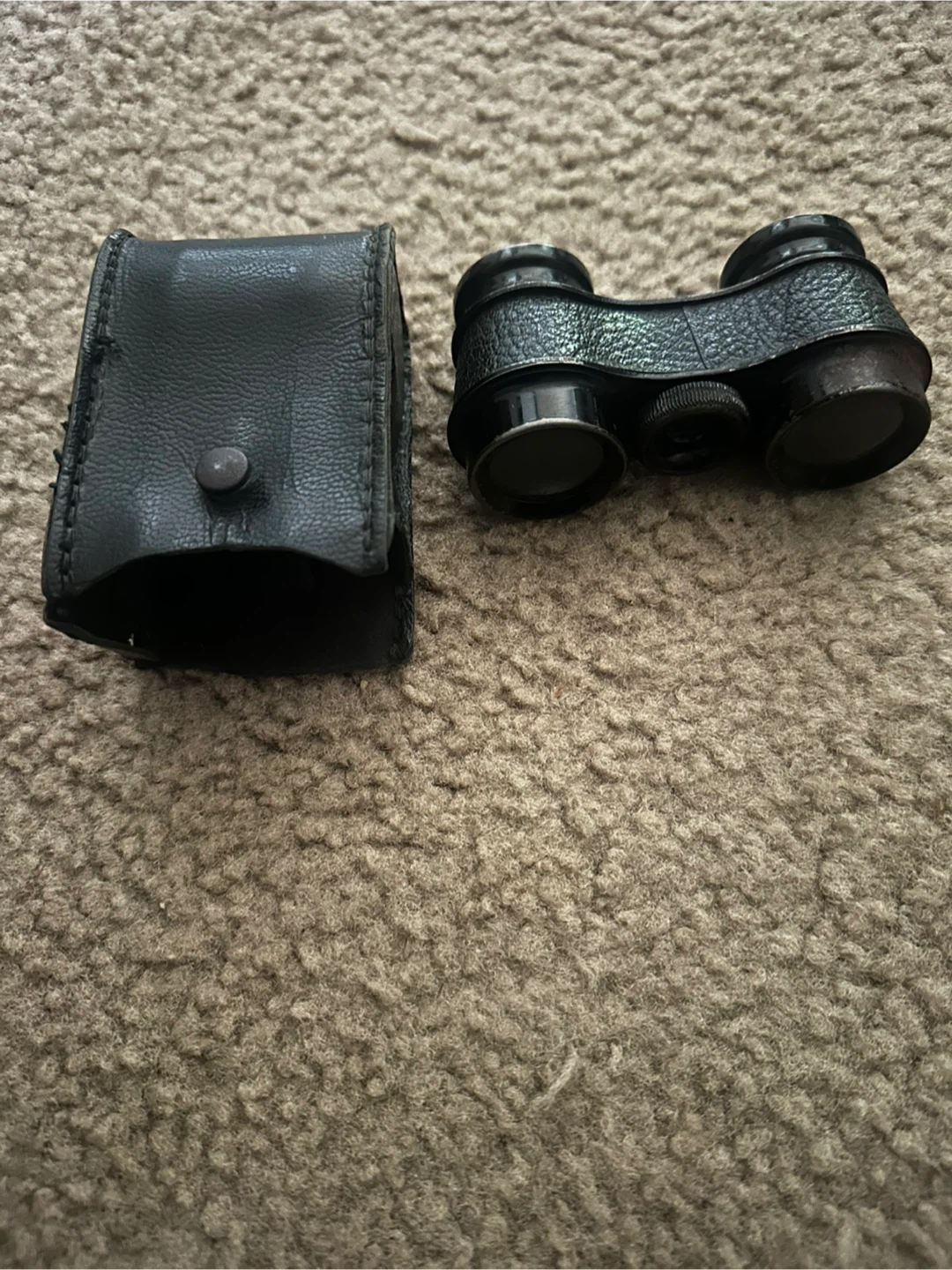 Vintage Theater Binoculars with Case
