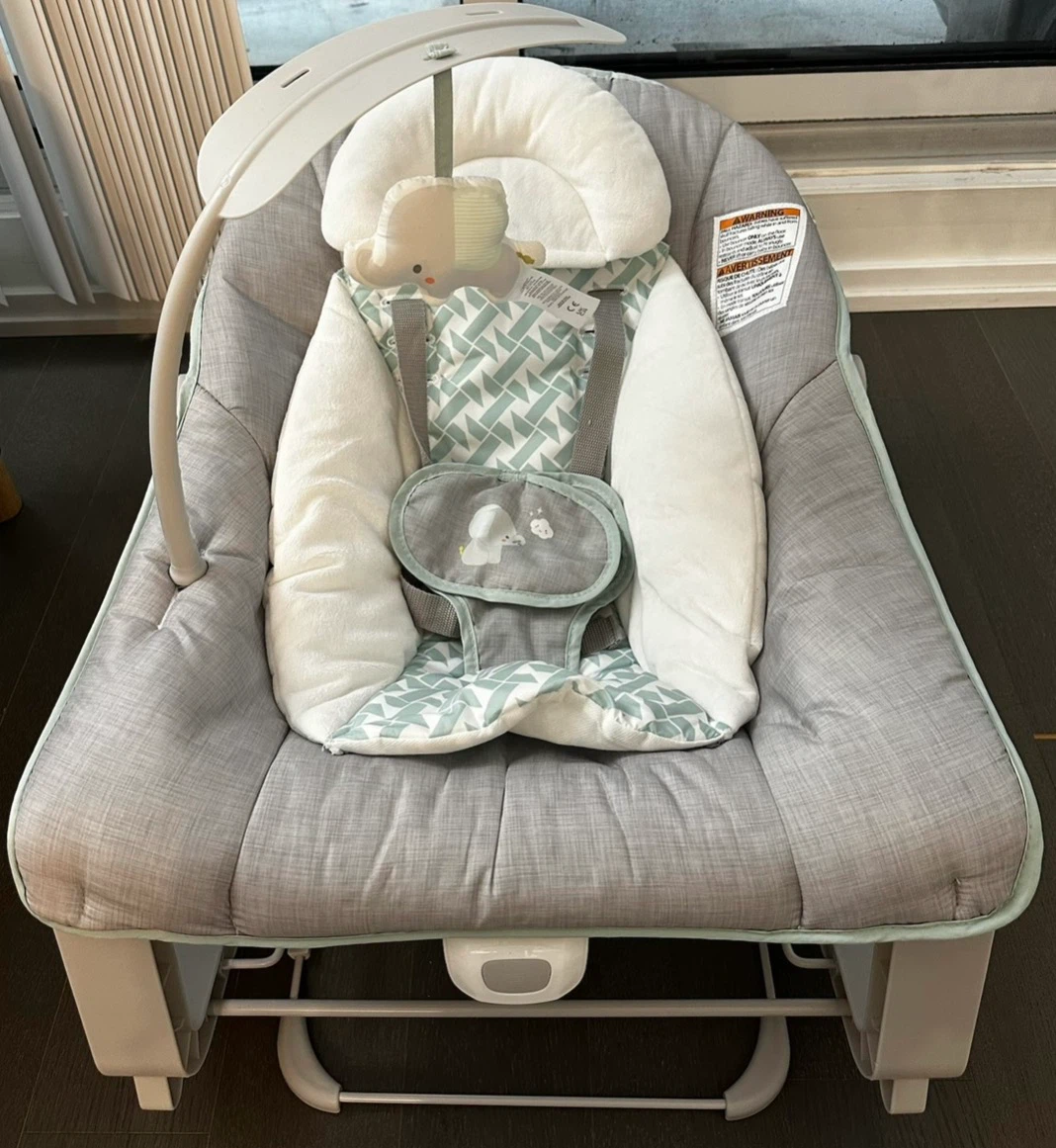 Ingenuity baby bouncer