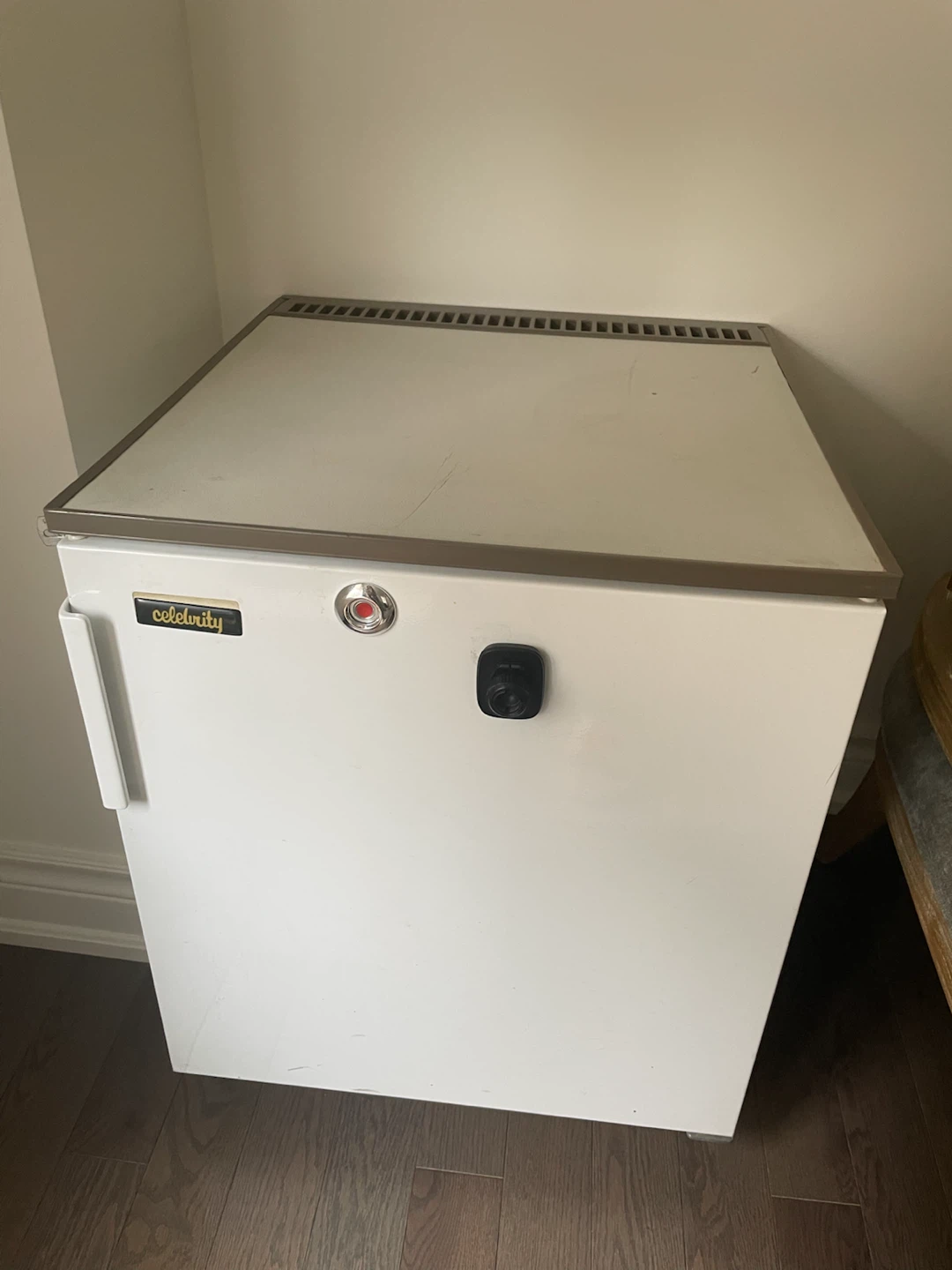 Celebrity Mini Fridge