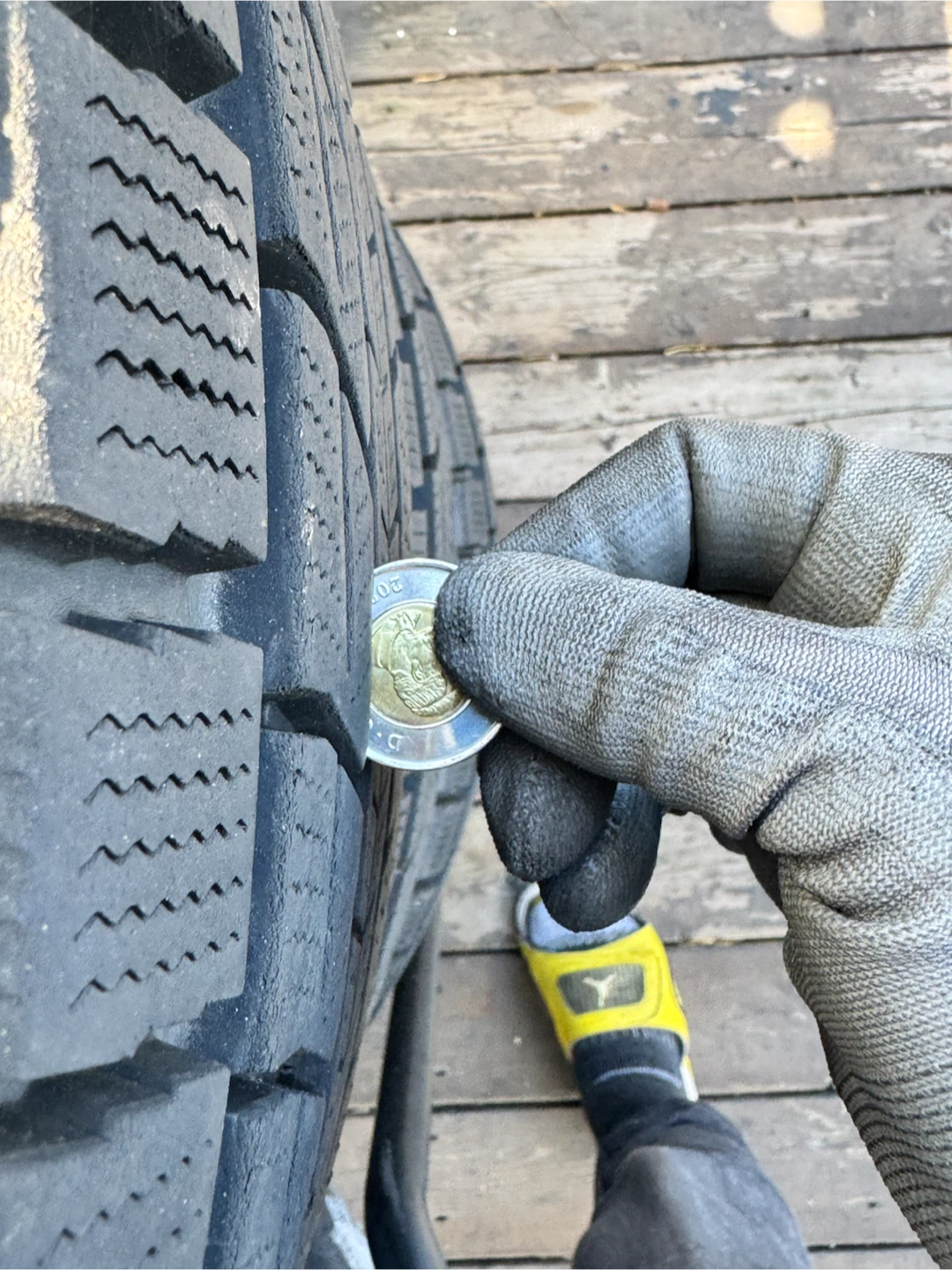 Dunlop Winter Maxx SJ8 Tires 265/70R16 - photo 5