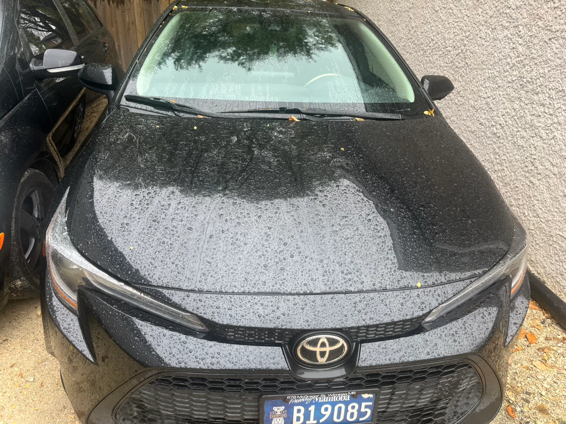 Toyota Corolla LE - photo 2