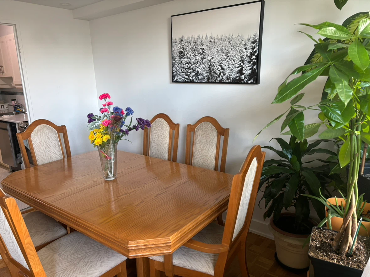 Oak Dining Table and 6 Chairs Set