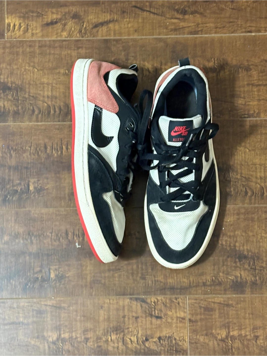 Nike SB Alleyoop Sneakers