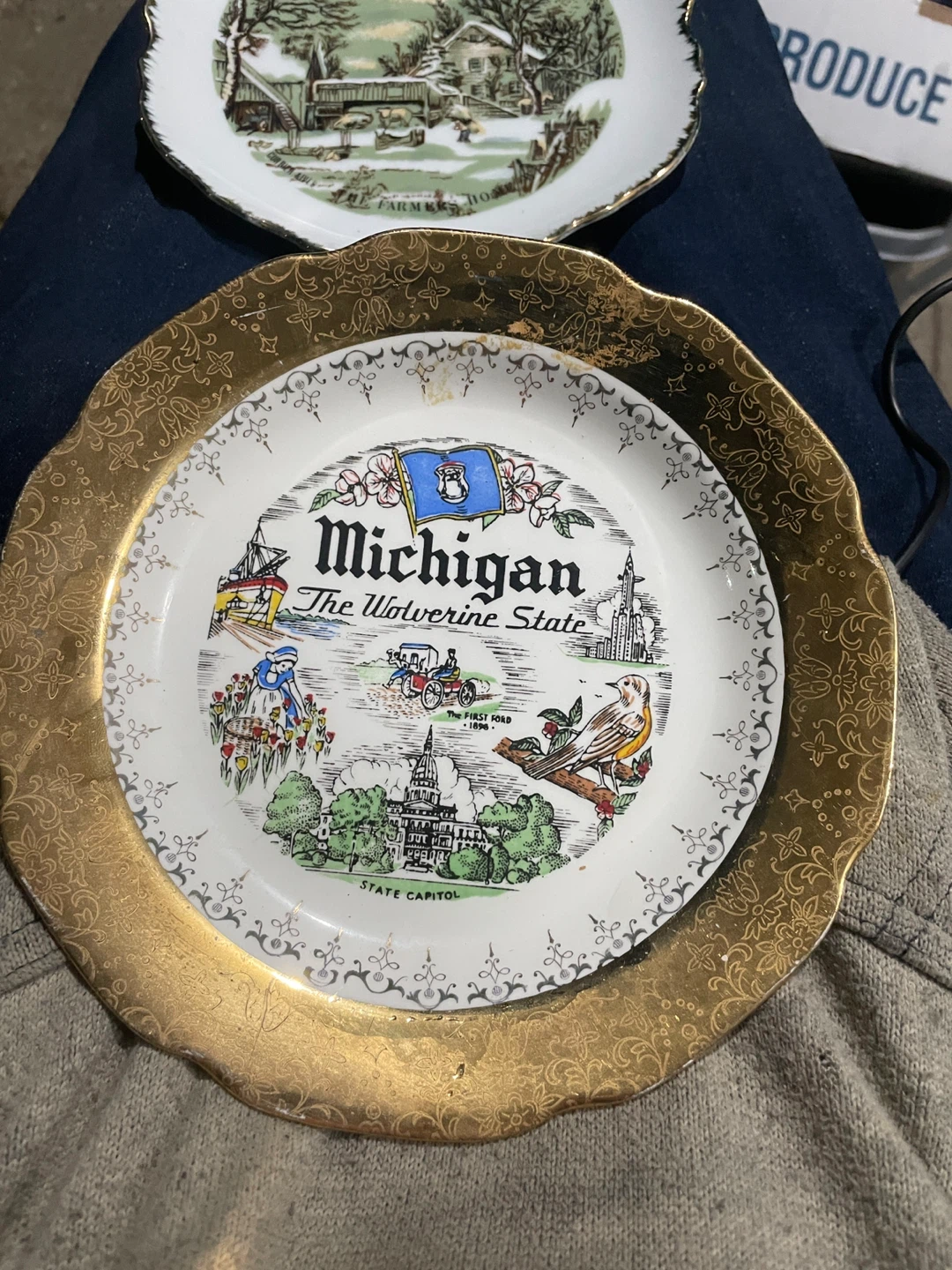 Sabin Crest-O-Gold Michigan Souvenir Plate - photo 2