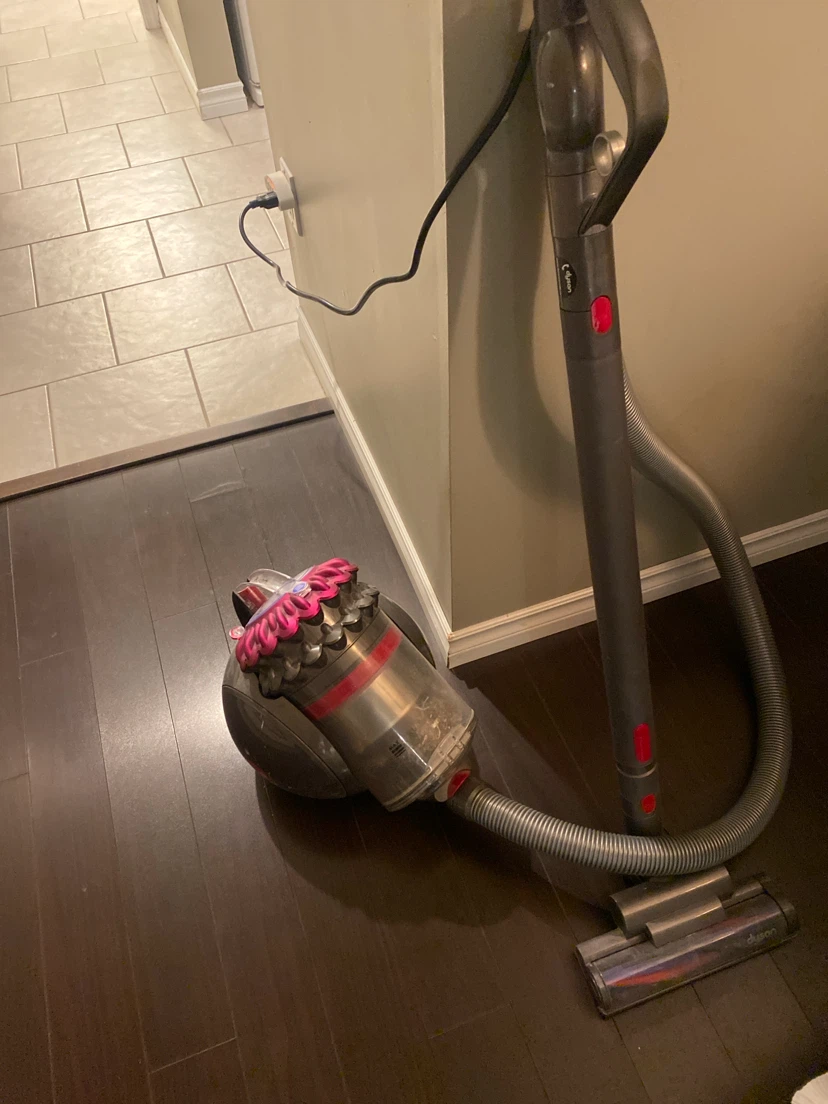 Dyson Ball Canister Vacuum - photo 2