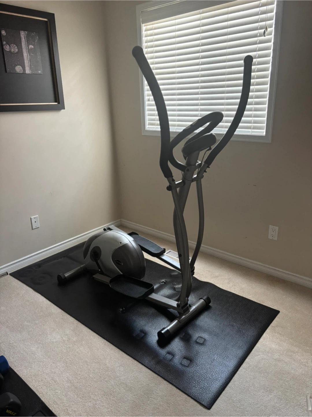 FreeSpirit Elliptical Trainer - photo 4
