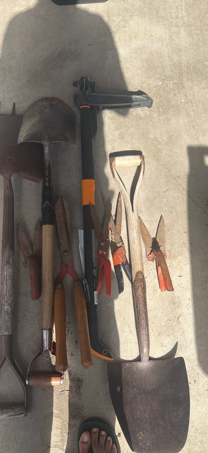 Assorted Garden Tools and Snow Shovel - photo 3