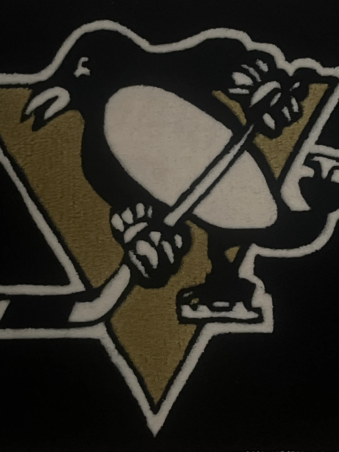 Official NHL Pittsburgh Penguins Rug / Accent Mat (20x30)  New! - photo 2