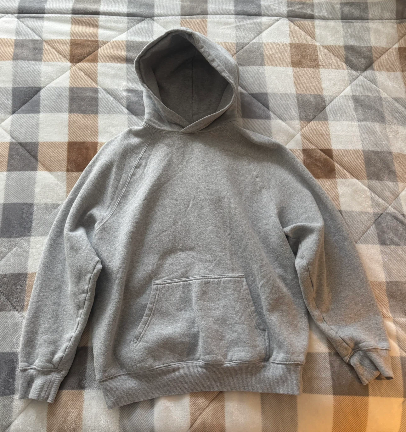 aritzia sweatfleece grey hoodie