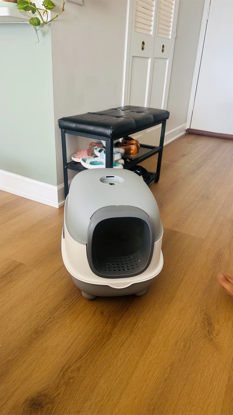 Enclosed Cat Litter Box