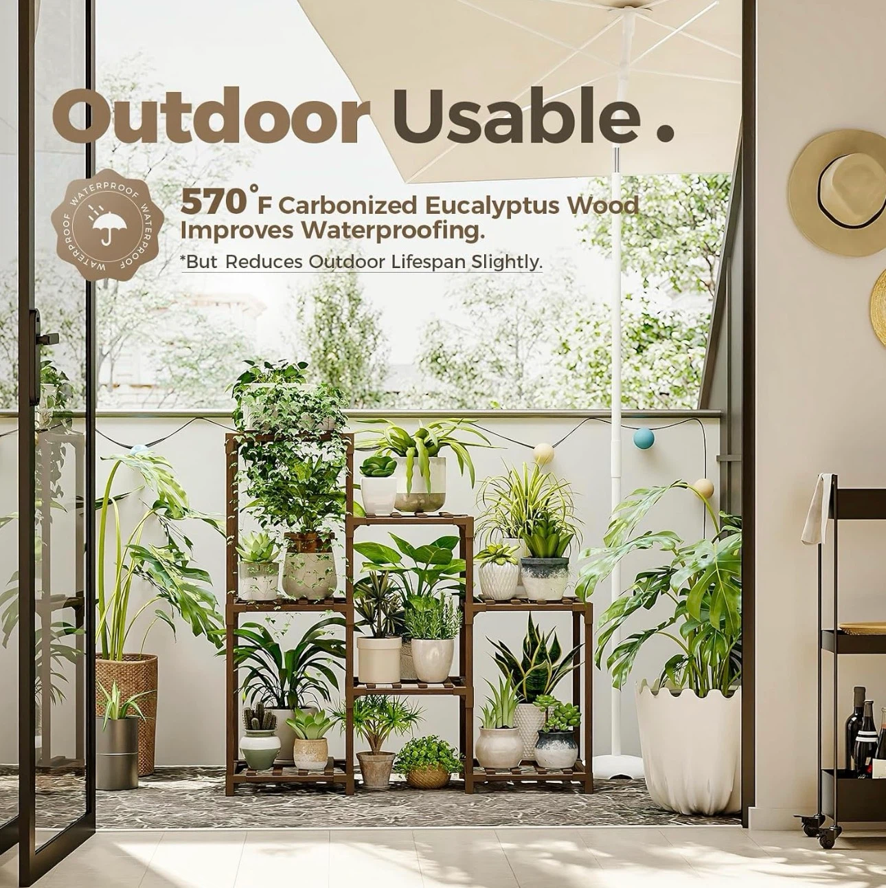 Carbonized Eucalyptus Wood Plant Stand - photo 4