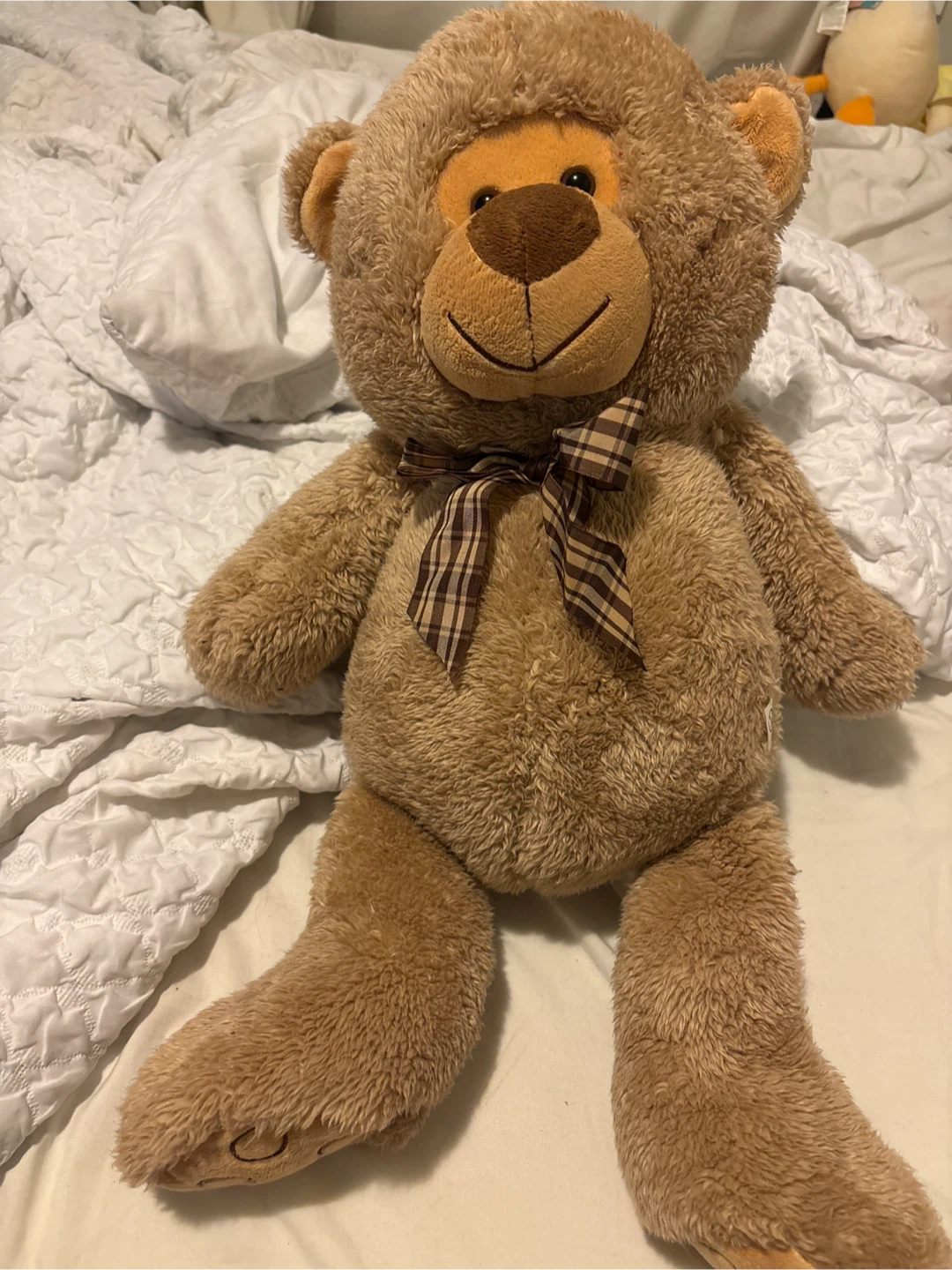 Soft Brown Plush Teddy Bear