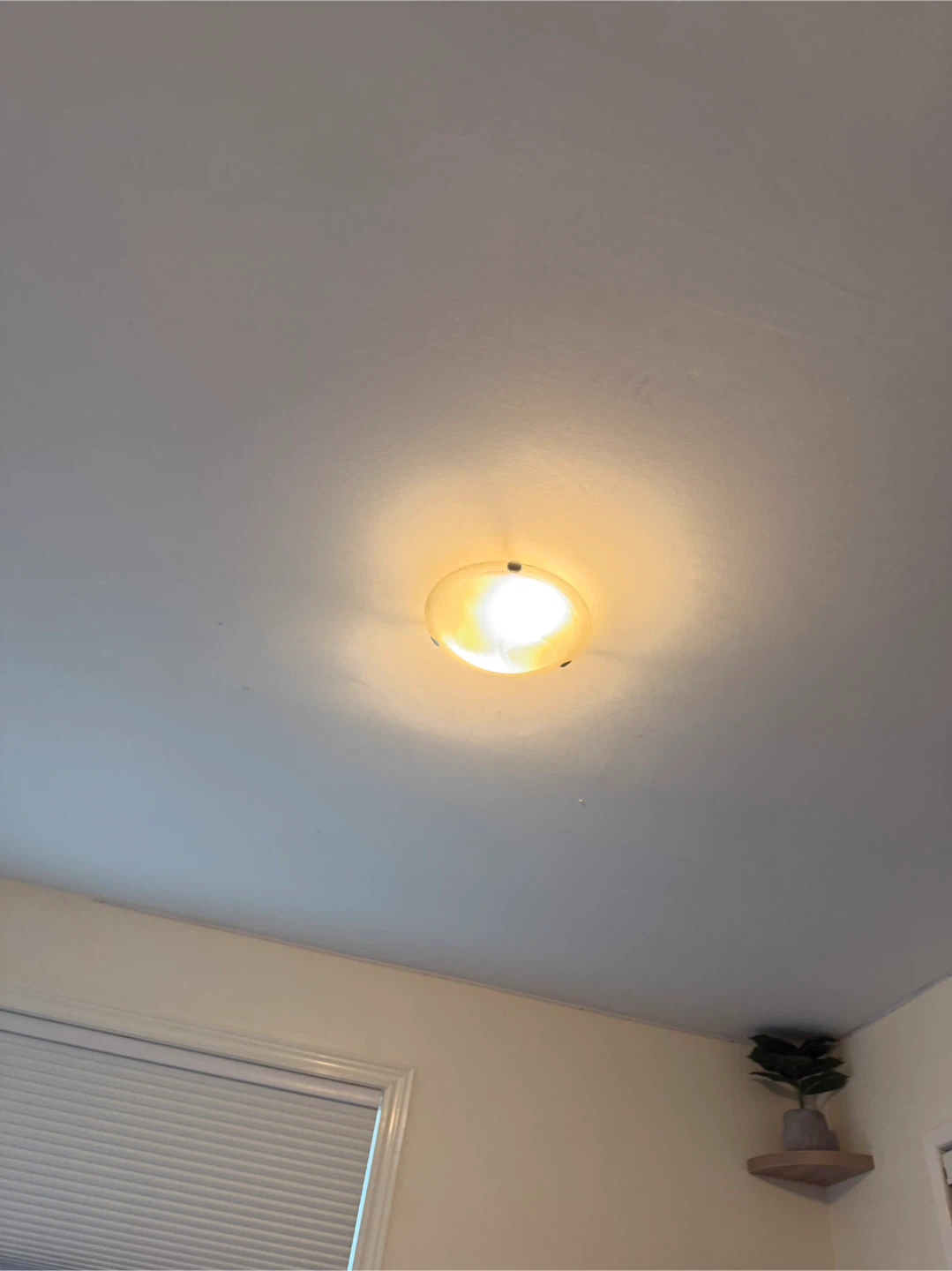Flush Mount Ceiling Light Fixture