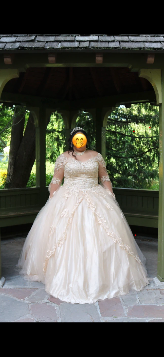 Champagne coloured ball gown with lace detail - 2X/3X