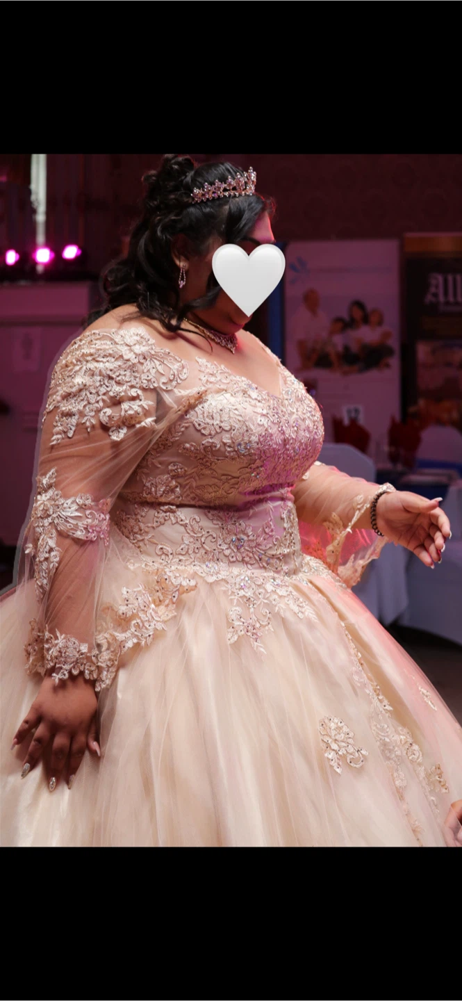 Champagne coloured ball gown with lace detail - 2X/3X - photo 2