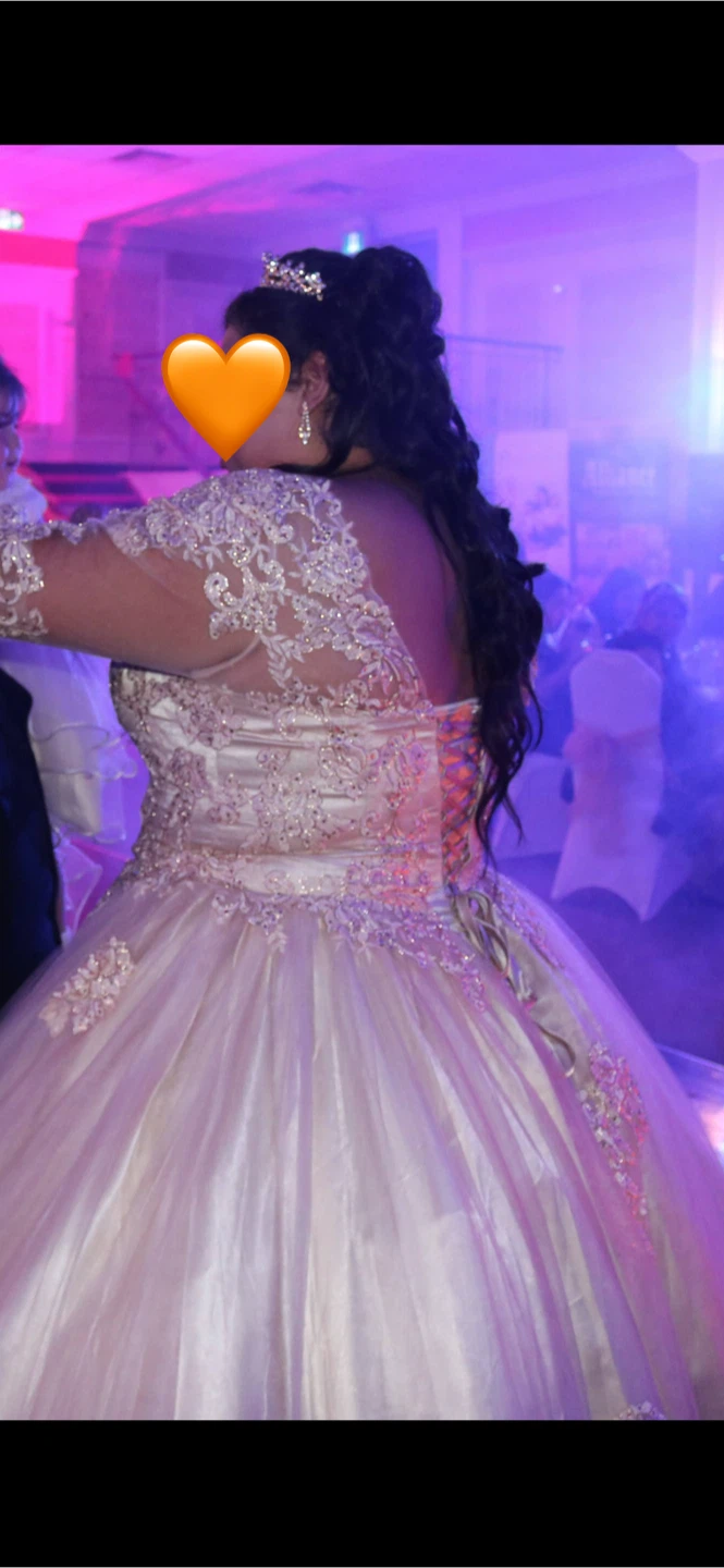 Champagne coloured ball gown with lace detail - 2X/3X - photo 3