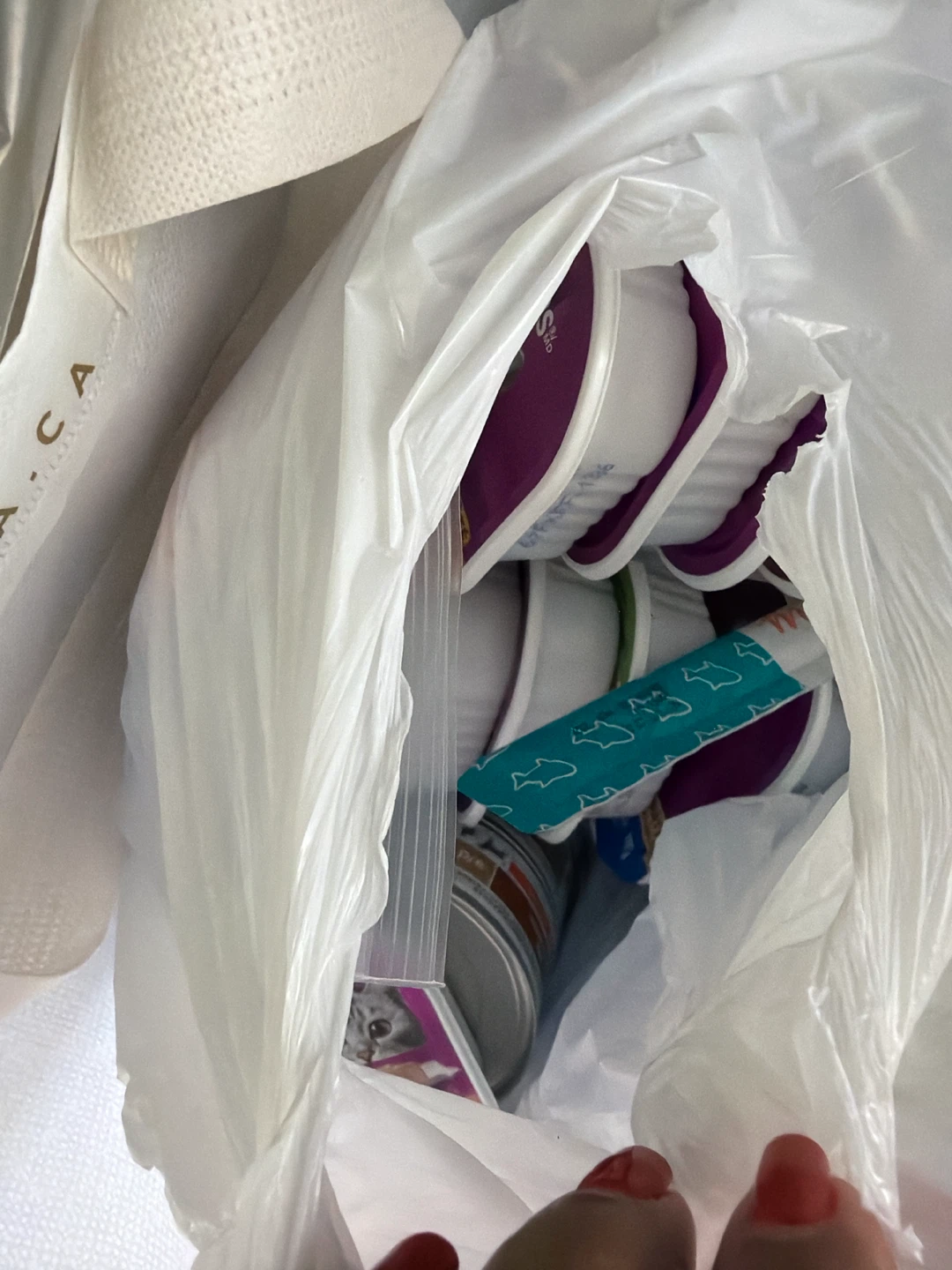 Cat Care Bundle- great for kitten .. lots of stuff! - photo 3