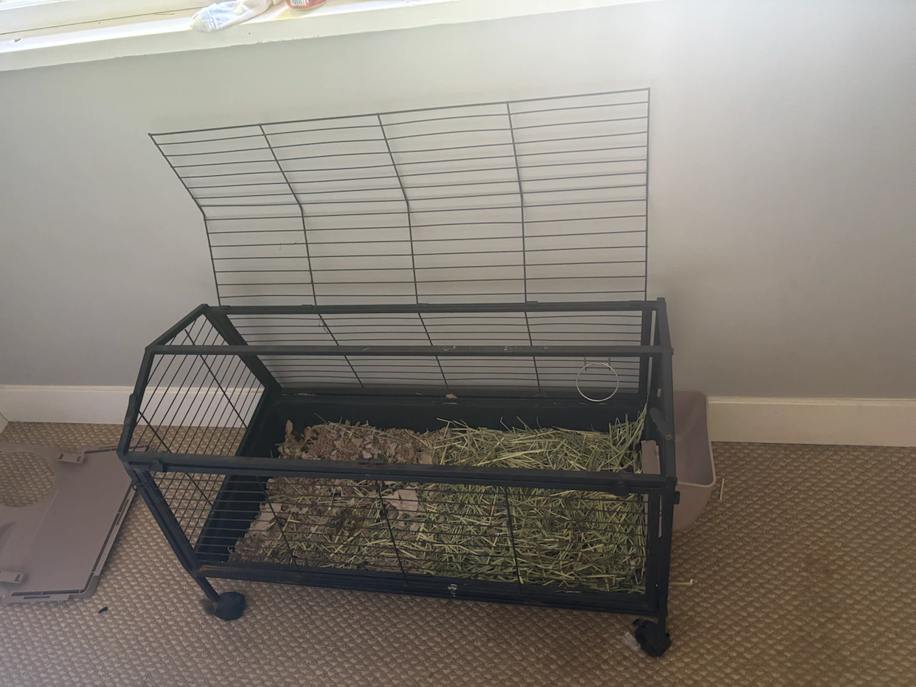 Small Animal Cage on Wheels