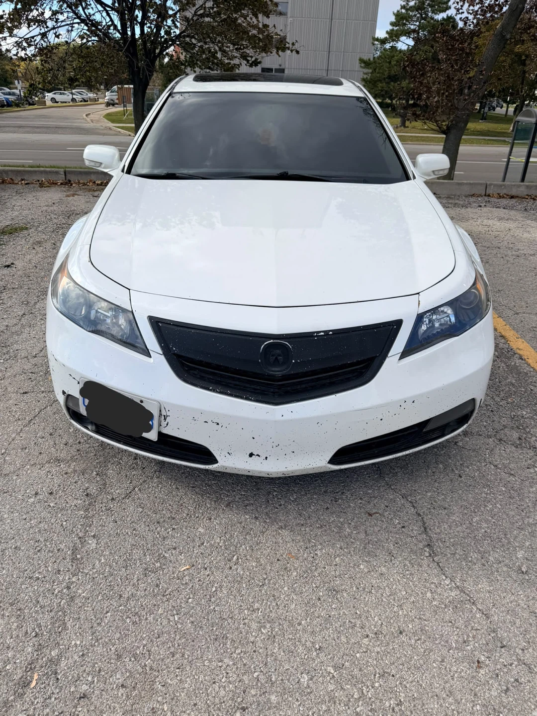 Acura TL SH-AWD