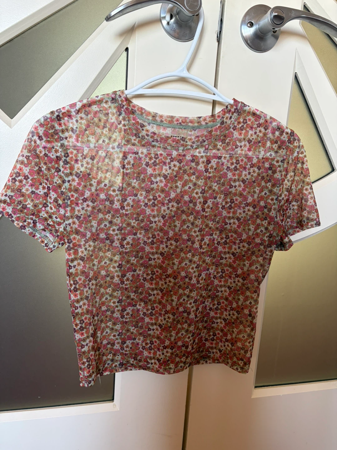 Aritzia Sunday Best floral sheer top