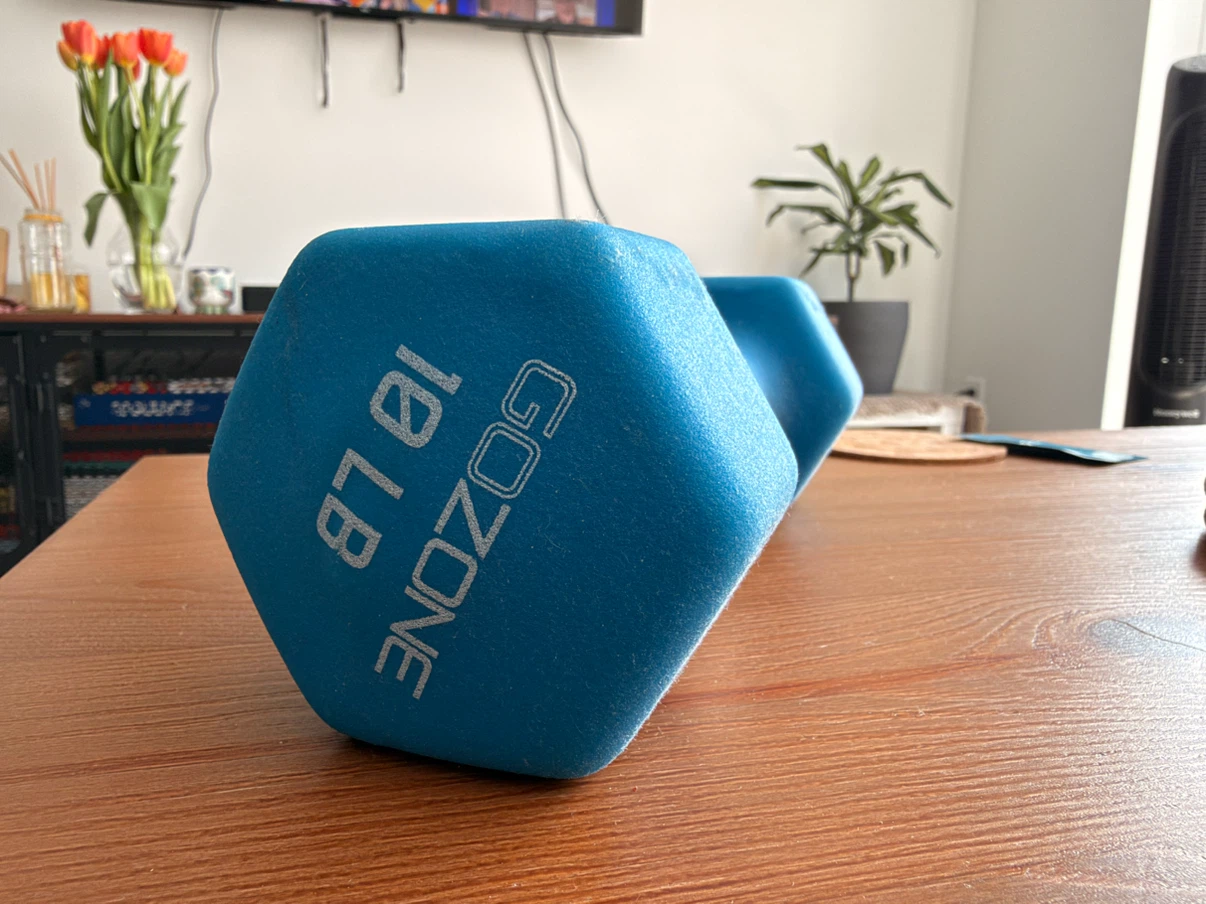 GOZONE 10 lb Neoprene Dumbbell – Blue – Home Workout Weight