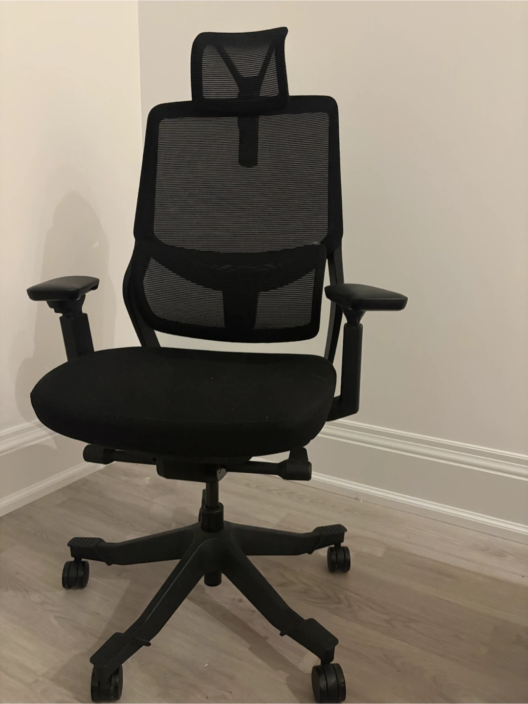 Flexispot Ergonomic Mesh Office Chair