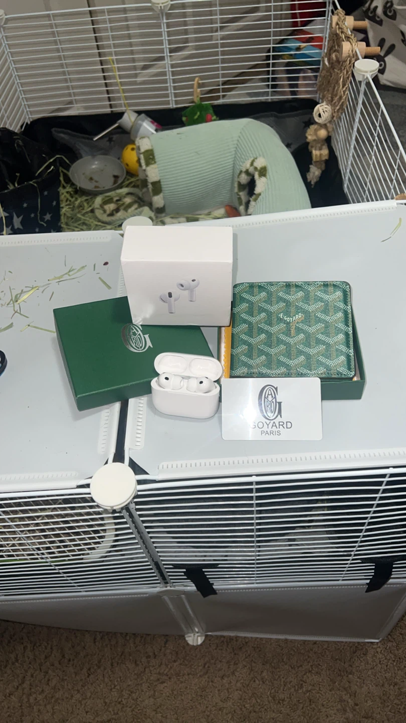 Goyard wallet and apple aiprods - photo 3