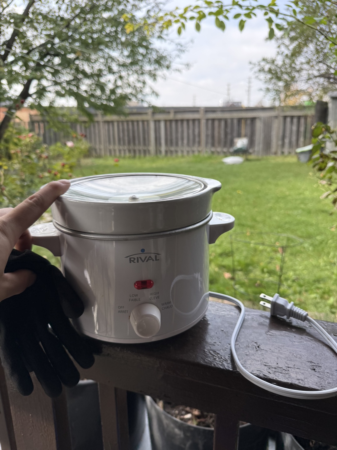 Rival 2-Quart Slow Cooker