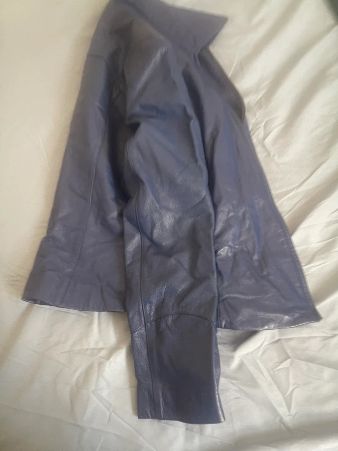 Danier Blue Leather Jacket