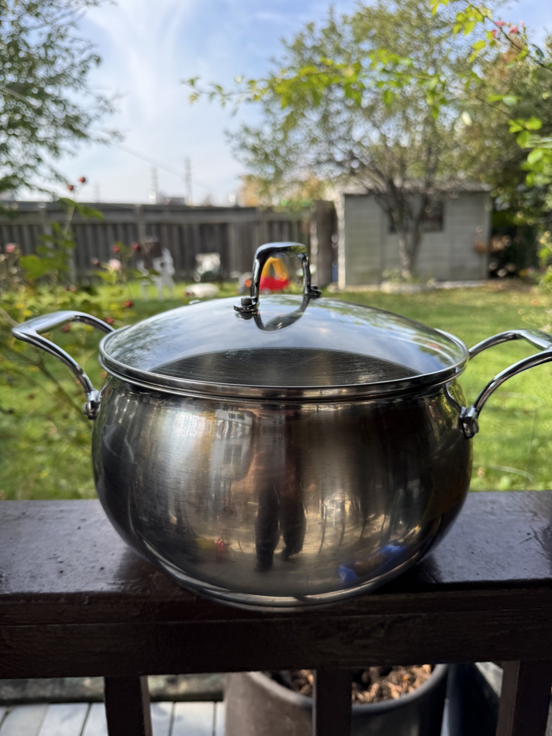 Stainless Steel Stock Pot with Glass Lid - photo 2