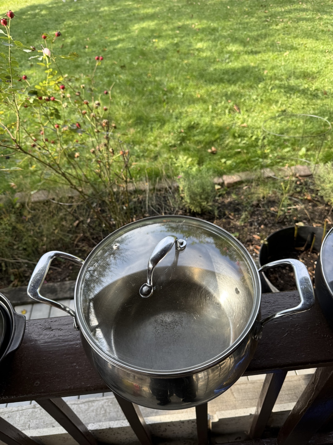 Stainless Steel Stock Pot with Glass Lid