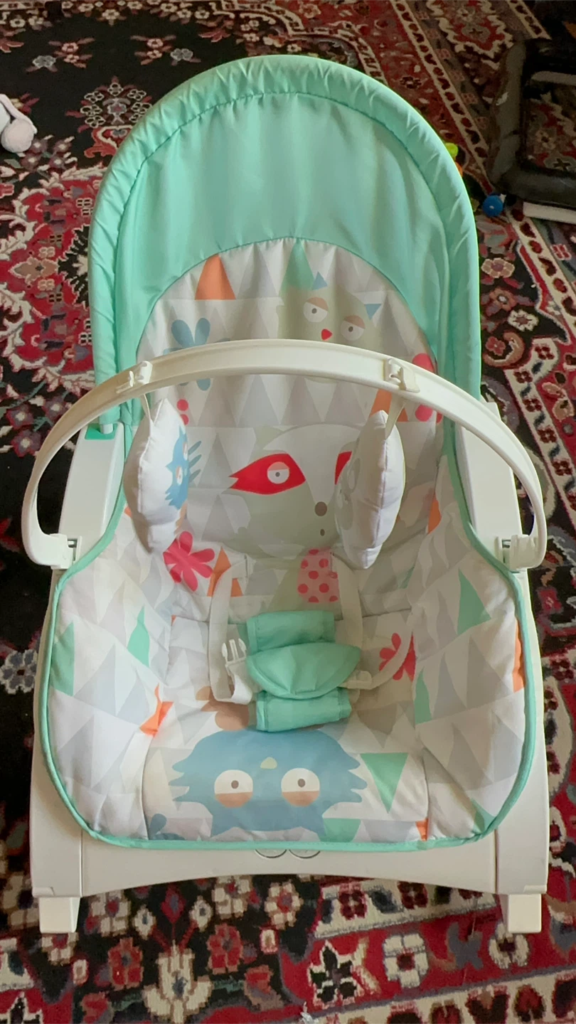 Baby Infant Bouncer Rocker Chair