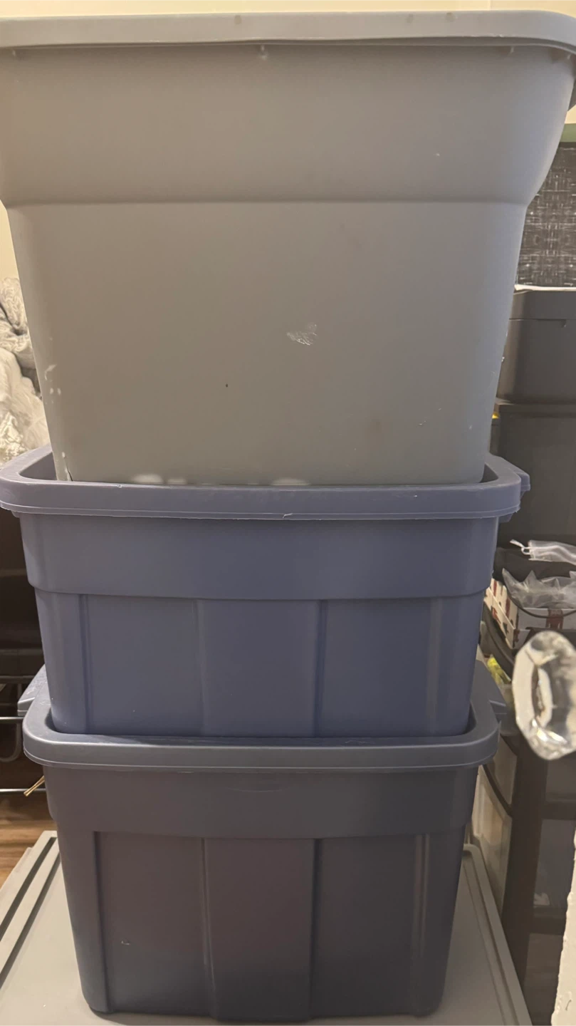 3 plastic storage bins with lids and 1 under bed storage drawer