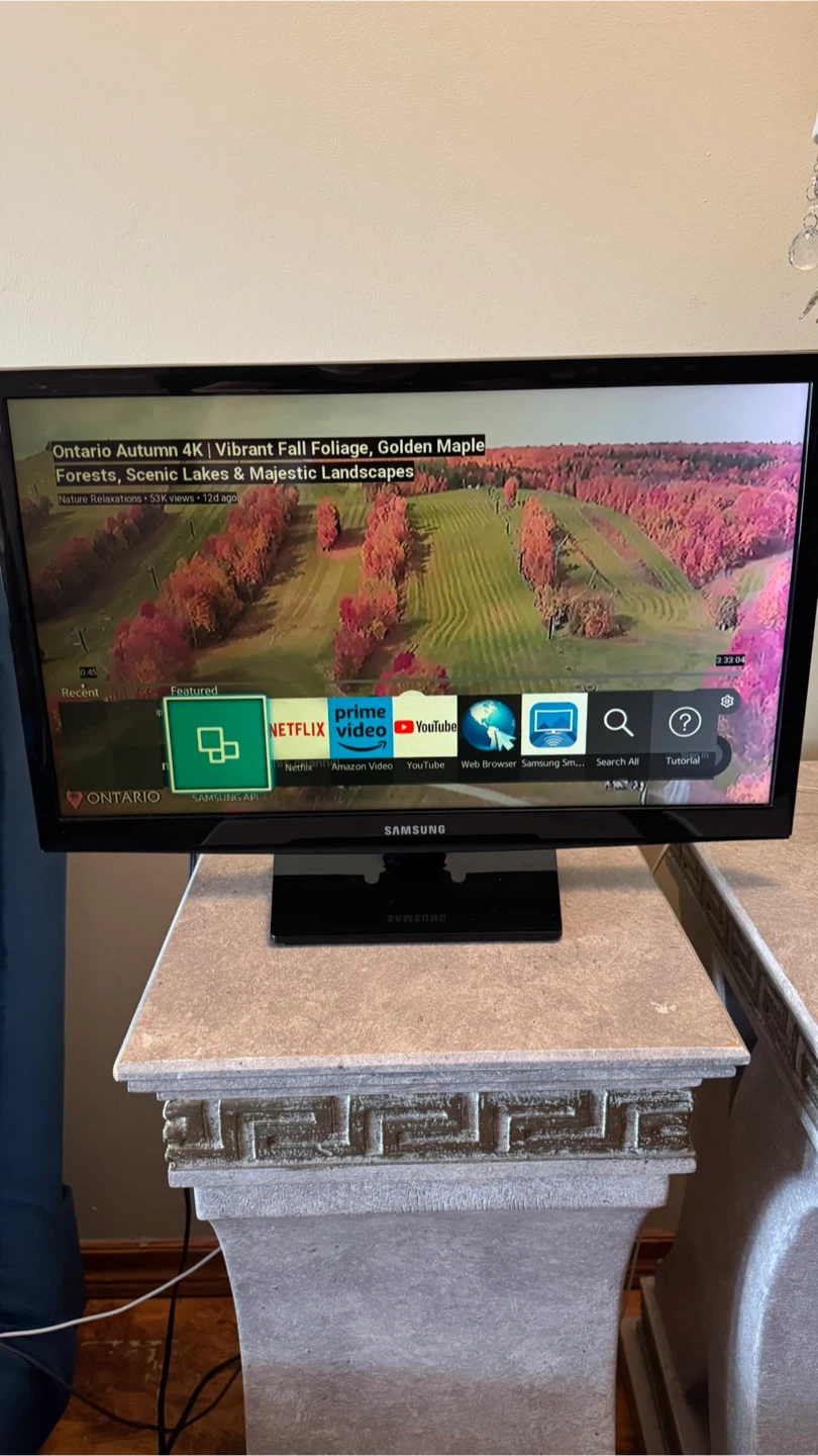 Samsung 24-inch Smart TV