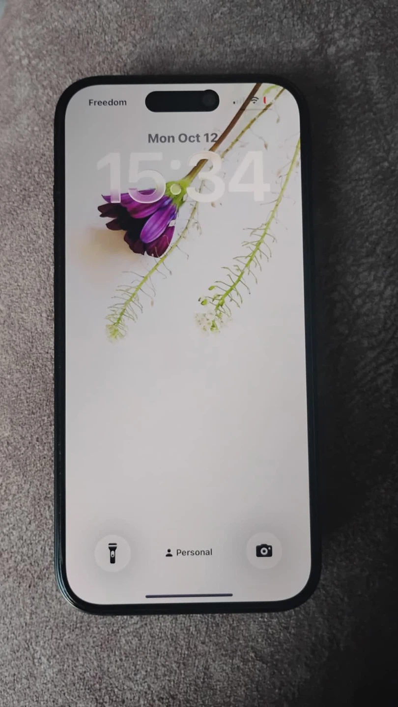 Apple iPhone 15 - 100% looks brand new
